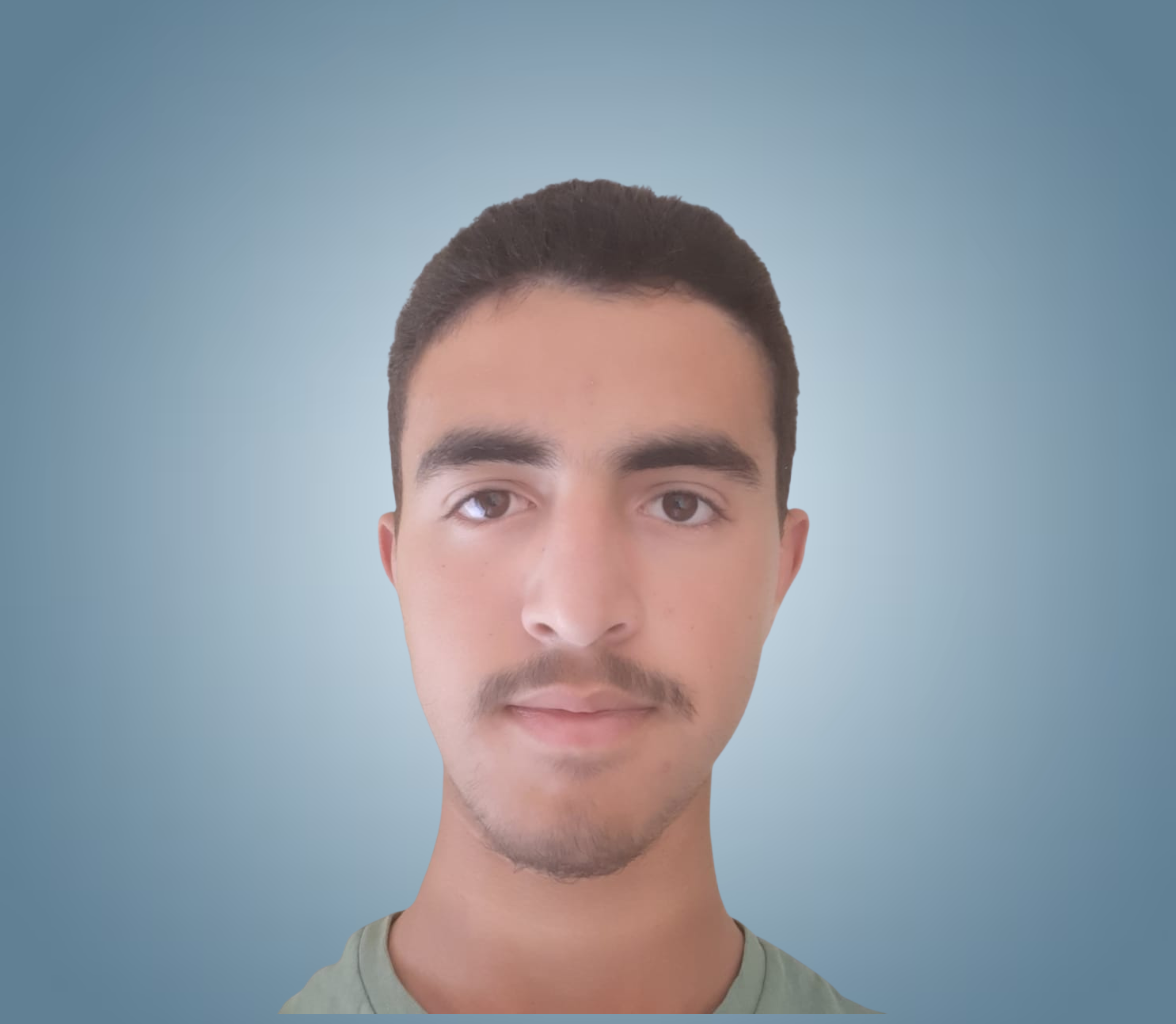 محمد امين الصفياتي